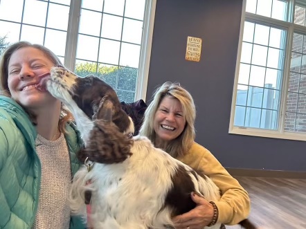 Cadi the dog, happy and healthy